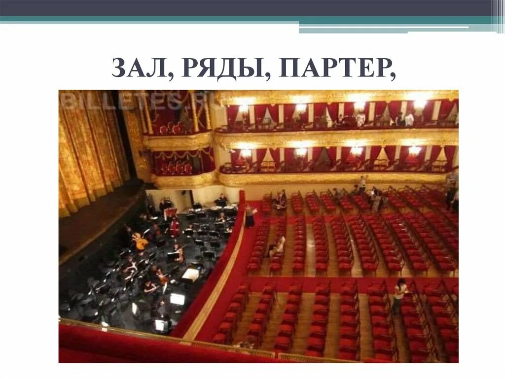 Партер в театре это где находится фото Театральный партер