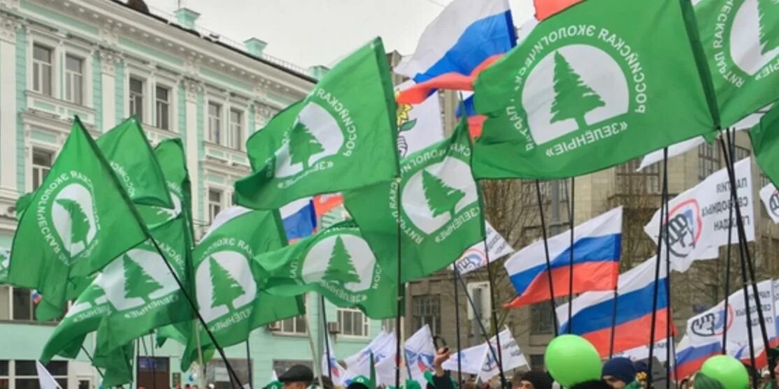Партия зеленые фото Экологическая зеленые деятельность