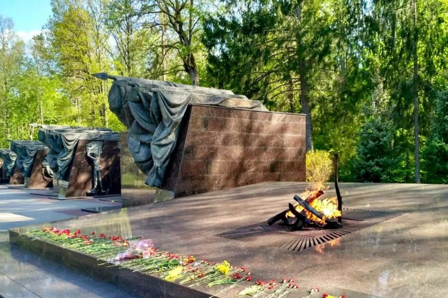 Партизанская поляна брянск фото Партизанская поляна, г.Брянск - отзывы, фото, цены, как добраться до Партизанско