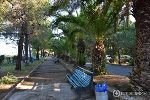Парус гагрский район село амзара фото Отзыв о Пансионат "Кудры" (Абхазия, Гагрский район) Пансионат эконом-класса.