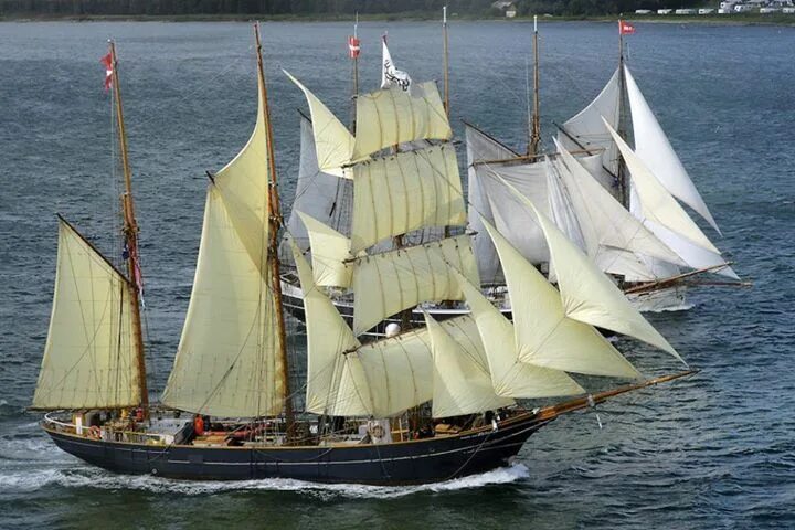 Парусные суда фото Danish barquentine Lola in Finland Tallship races.... Tall ships, Sailing ships,