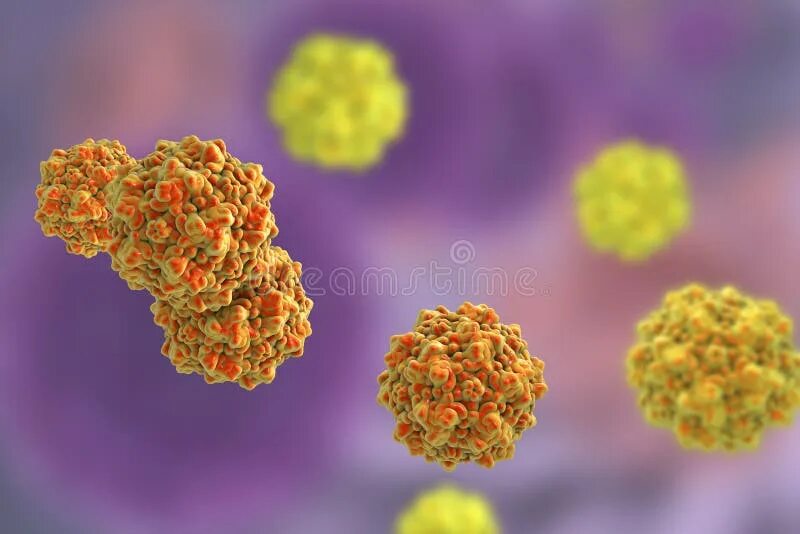 Парвовирус симптомы фото Parvovirus Стоковых иллюстраций и клипартов - (108 Стоковых иллюстраций)