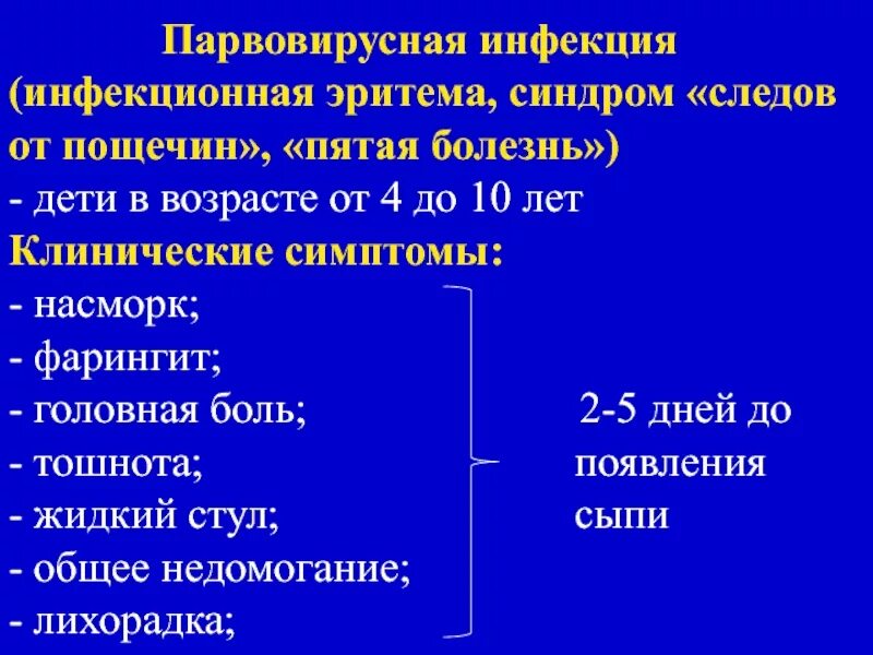 Парвовирусная инфекция симптомы фото Парвовирусная инфекция у взрослых симптомы и лечение: найдено 87 изображений