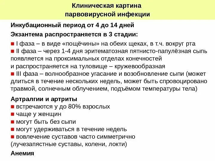 Парвовирусная инфекция симптомы фото Парвовирус у детей лечение
