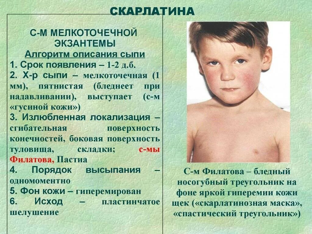 Парвовирусная инфекция у детей фото сыпи Как выглядит корь: симптомы с фото, лечение и профилактика заболевания у детей д