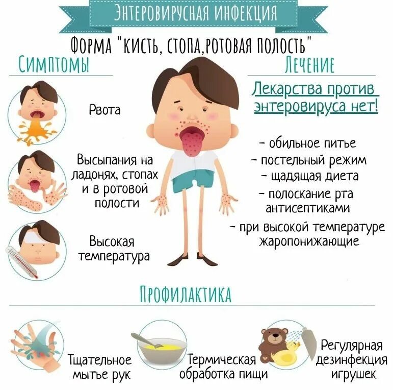 Парвовирусная инфекция у детей симптомы фото Как передается энтеровирусная инфекция - Новости и объявления - Здравоохранение 