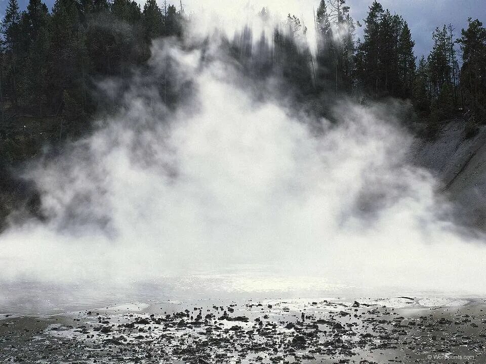 Пары воды фото Пожары в тайге. Их последствия. "Ауу! Дууух Лесааа!" У-Род-Ъ Асожий Дзен