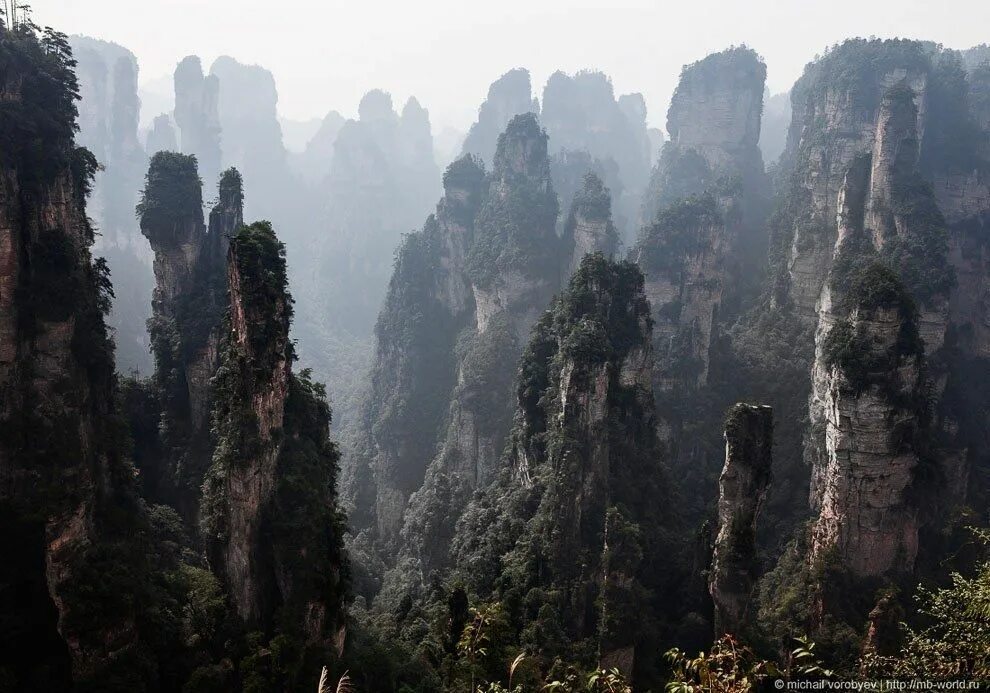 Парящие горы в китае фото Таинственный парк Аватар - Путешествуем вместе Nature photos, Nature, Natural la