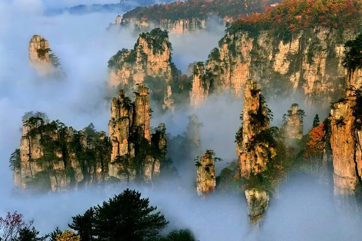 Парящие скалы в китае фото zhangjiajie, china Tianzi mountains, Beautiful places, Beautiful places in the w