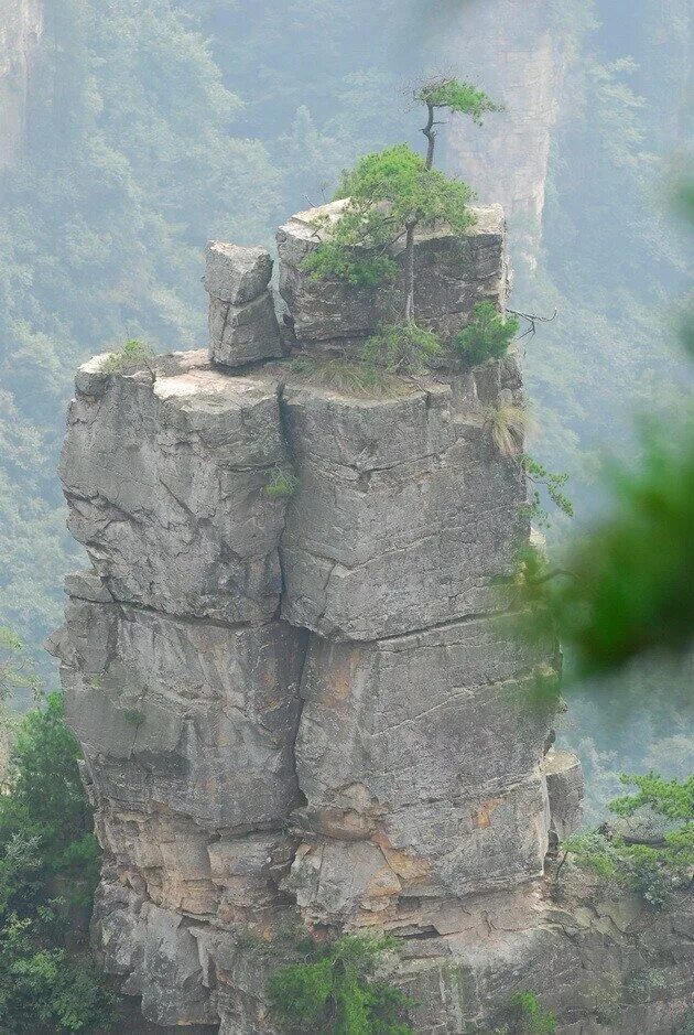 Парящие скалы в китае фото Национальный парк Чжанцзяцзе: kroshka77 - ЖЖ