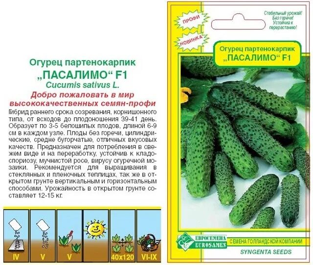 Пасалимо огурец описание отзывы фото Огурцы Пасалимо: характеристика и описание сорта. Огурцы Пасалимо f1: отзывы, фо