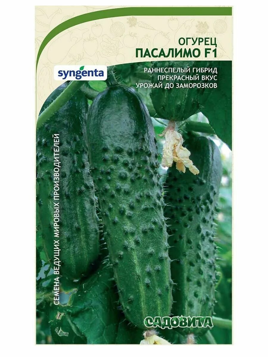 Пасалимо огурец описание отзывы фото Огурец Пасалимо F1 5 Семян СадоВита 188187169 купить за 137 ₽ в интернет-магазин