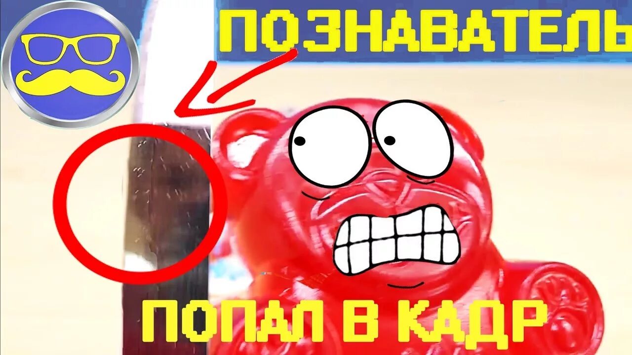 Паша из желейного медведя валерки фото ЛИЦО ПОЗНАВАТЕЛЯ! ЖЕЛЕЙНЫЙ МЕДВЕДЬ ВАЛЕРА ПОКАЗАЛ ЛИЦО ПОЗНАВАТЕЛЯ! КАК ВЫГЛЯДИТ