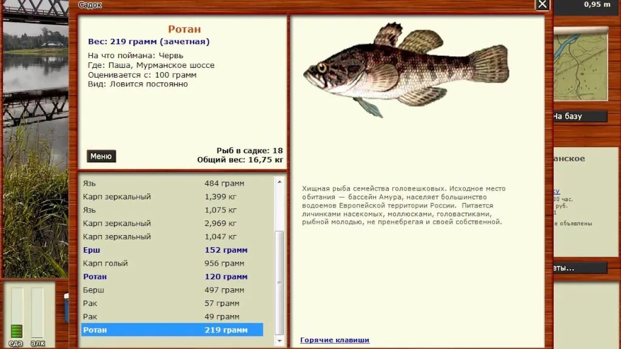 Паша на что ловить рыбалка 3 РУССКАЯ РЫБАЛКА 3 паша.мурманское шоссе 15 - YouTube