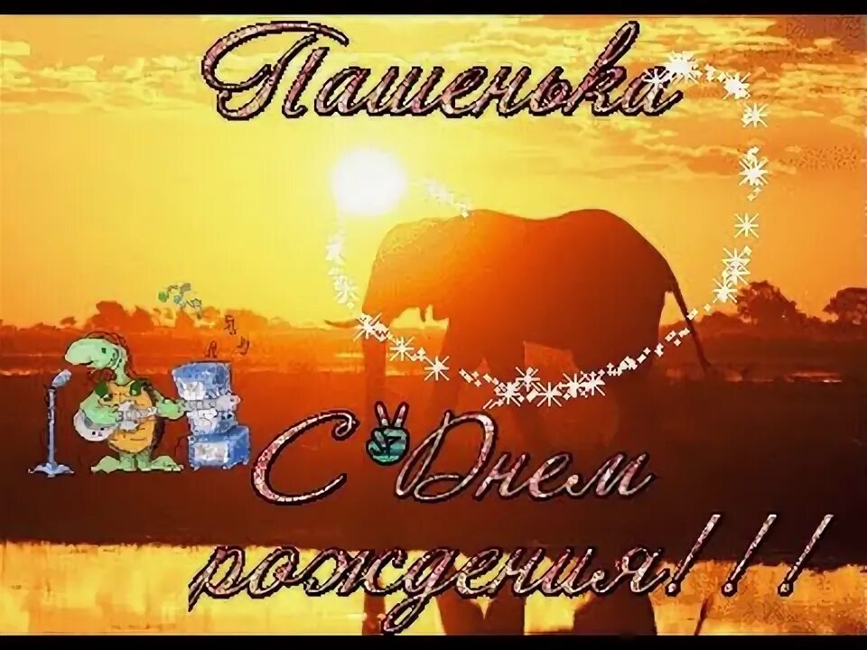 Паша с днем рождения картинки Поздравления с днем рождения мужчине паше: найдено 90 картинок