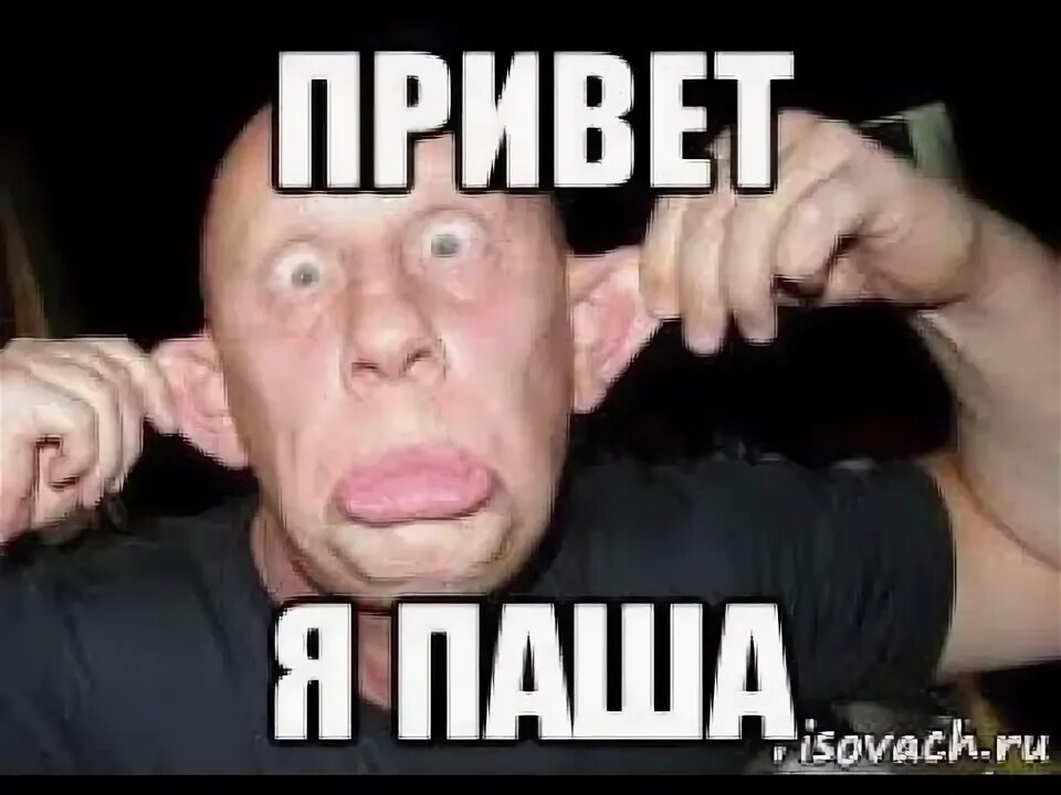 Паша смешные фото 2023 год станет тестом для внутриполитического блока Кремля. Формально - с начал