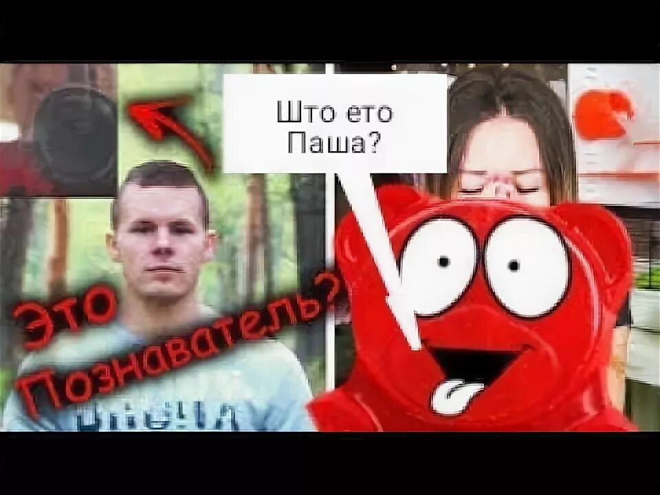 Паша желейный медведь валера фото паши Шок!! Лицо Познавателя спалили - YouTube