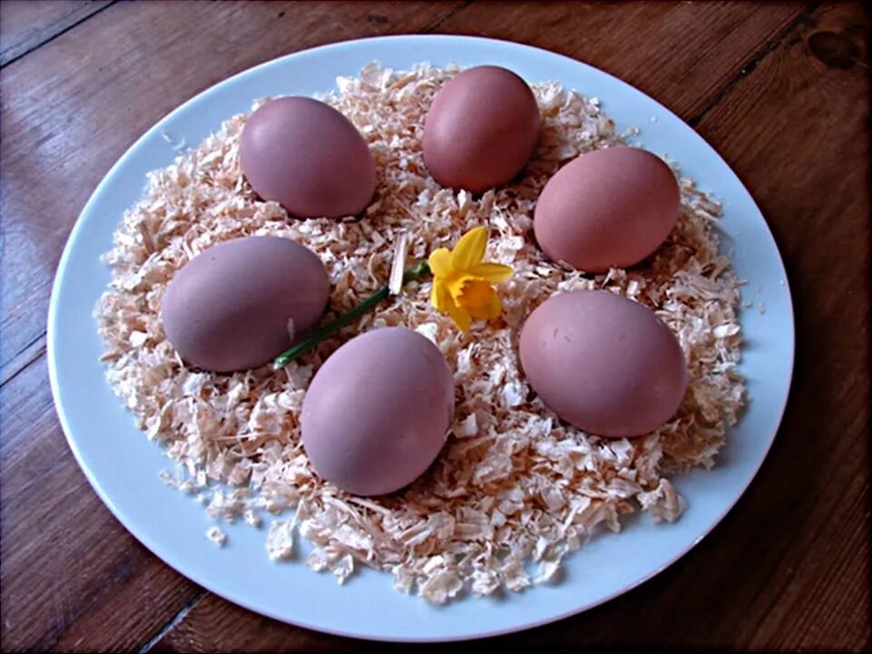 Пасхальные куры фото яиц Яйца молодой курочки