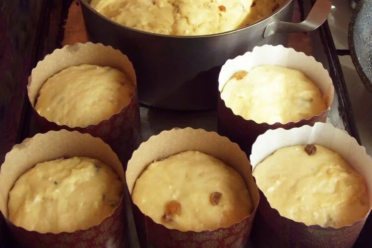 Пасхи в духовке фото Тесто для куличей: 20 самых простых рецептов на Пасху