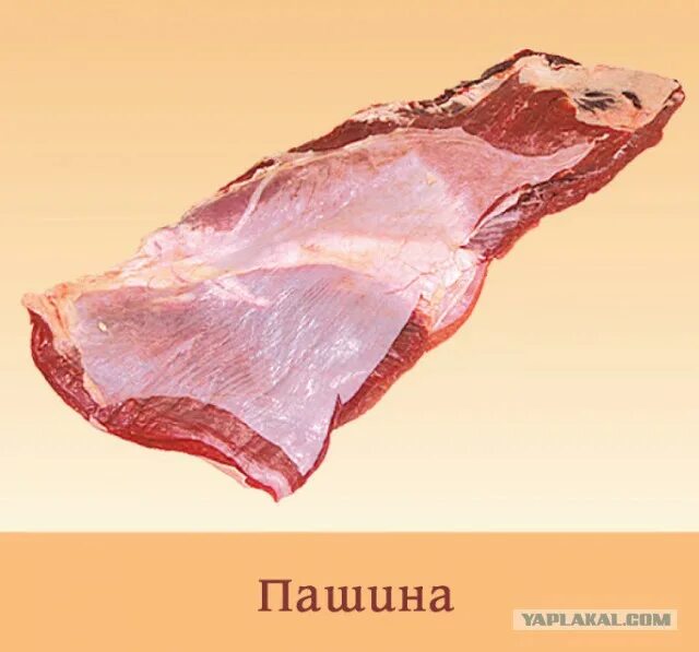 Пашина свинины фото Рулет из рульки. - ЯПлакалъ