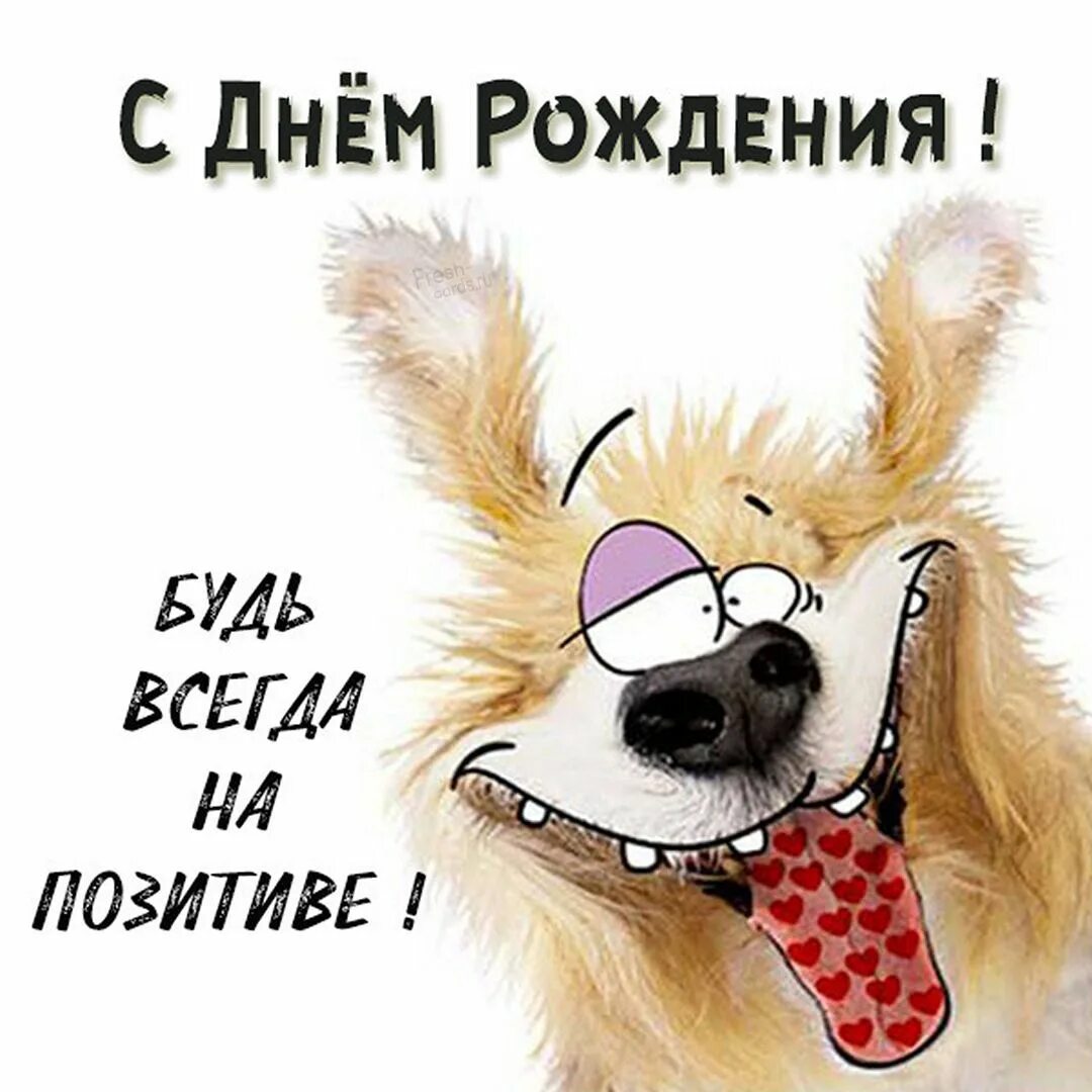 Пашок с днем рождения картинки прикольные Красивые открытки и прикольные картинки с пожеланиями Happy birthday pictures, B