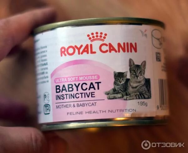 Паштет для котят фото Отзыв о Паштет для котят Royal Canin Babycat Instinctive Нежная еда для самых ма