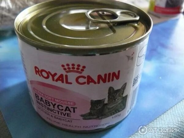Паштет для котят фото Отзыв о Паштет для котят Royal Canin Babycat Instinctive Нежный качественный паш