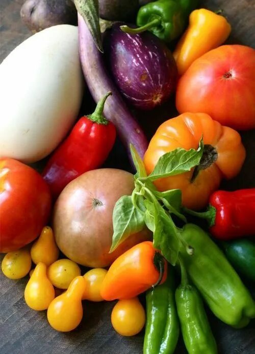 Пасленовые овощи фото Tomatoes Vegetables, Tomato vegetable, Vegetable seed