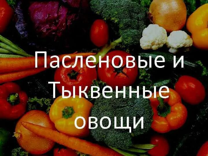 Пасленовые овощи список и фрукты названий фото Пасленовые овощи и фрукты - CoffeePapa.ru