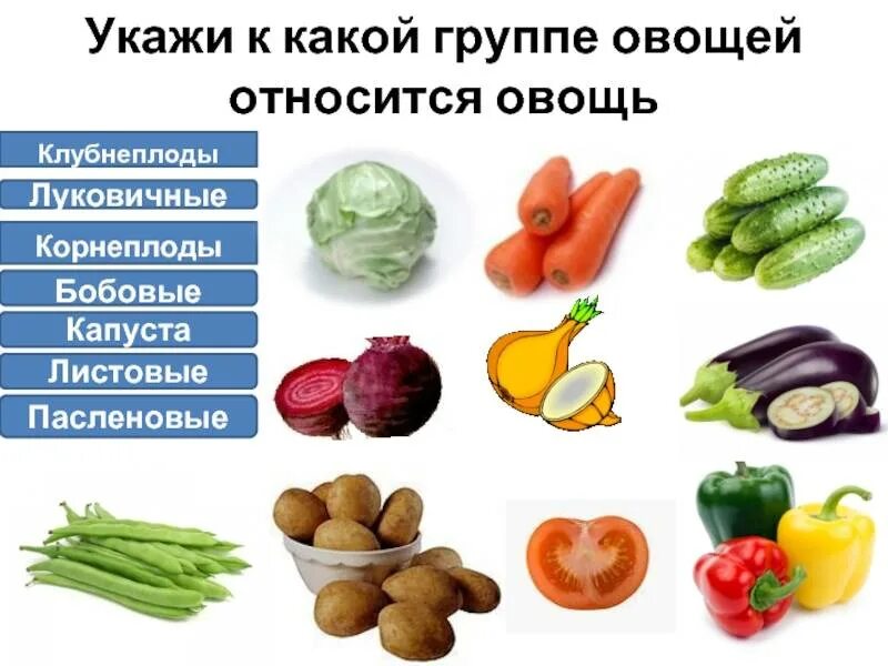 Пасленовые овощи список и фрукты названий фото Список овощей, относящихся к пасленовым культурам, овощи семейства пасленовых