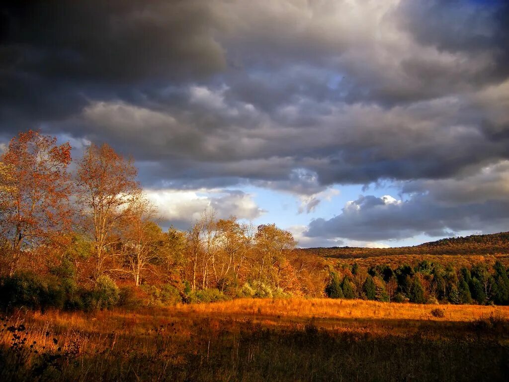 Пасмурная осень фото Fringed Landscape pictures, New jersey beaches, State forest
