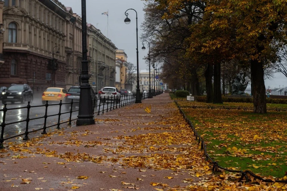 Пасмурный питер фото Дождливая и ветреная погода будет в Петербурге 3 октября - KP.RU