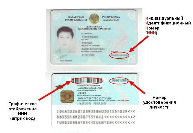 Паспорт где серия где номер фото Где взять номер документа