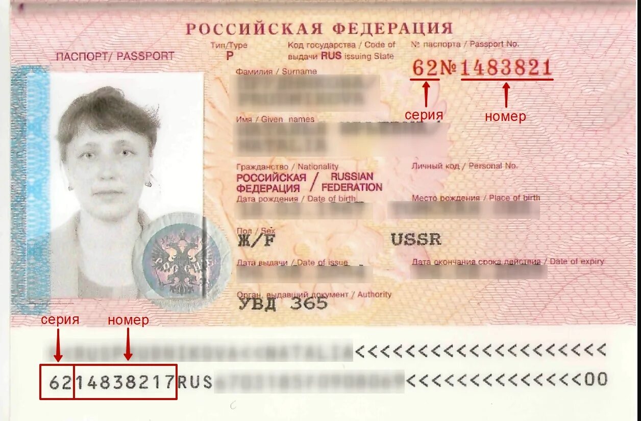 Паспорт где серия где номер фото Где находится серия и номер паспорта