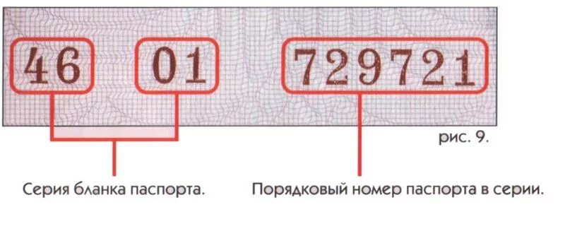 Паспорт где серия где номер фото Ответы Mail.ru: Где в паспорт находиться серия?
