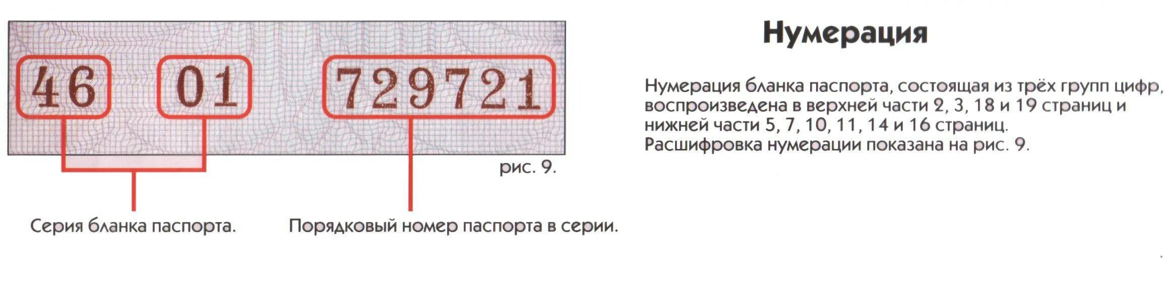 Паспорт где серия где номер фото Где указаны серия и номер паспорта гражданина РФ? Закон и порядок