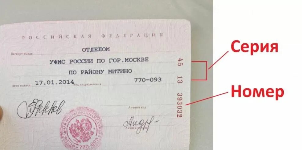 Паспорт где серия где номер фото Что означают номер и серия паспорта? Примеры :: SYL.ru