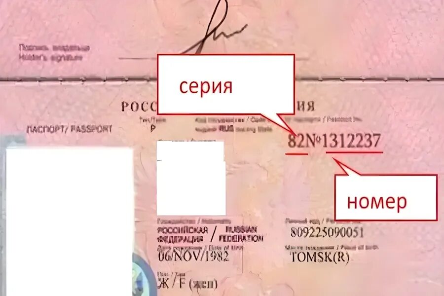 Паспорт где серия где номер фото Где пишется серия и номер загранпаспорта?