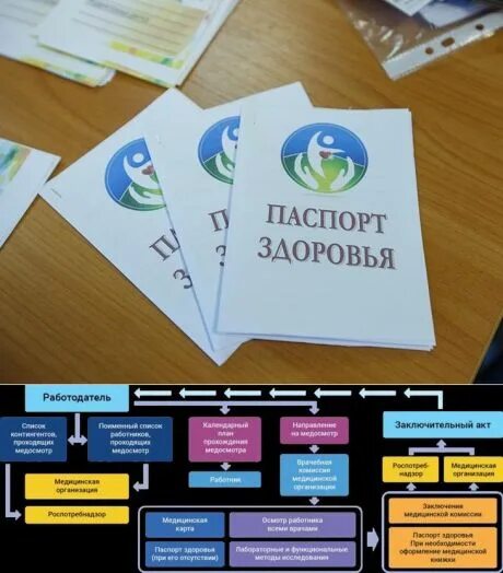 Паспорт здоровья фото Мои подписки