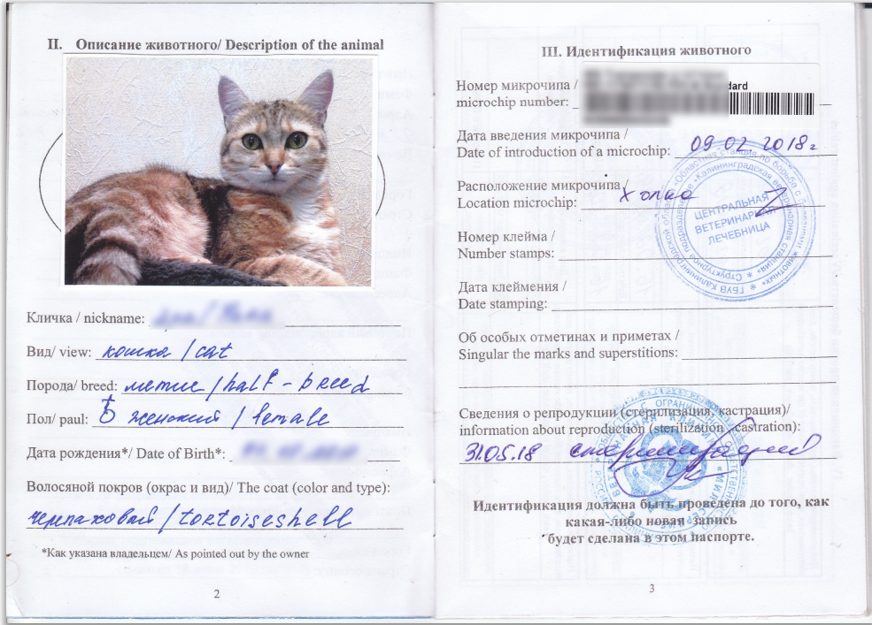 Паспорт животного размер фото Что такое паспорт животного, как его заполнять, сколько стоит сделать - Яндекс П
