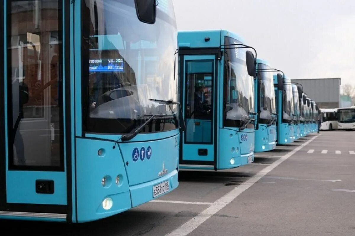 Пассажиравтотранс юбилейная ул 2 фото Более 60 новых автобусов поступят в Петербург осенью АиФ Санкт-Петербург