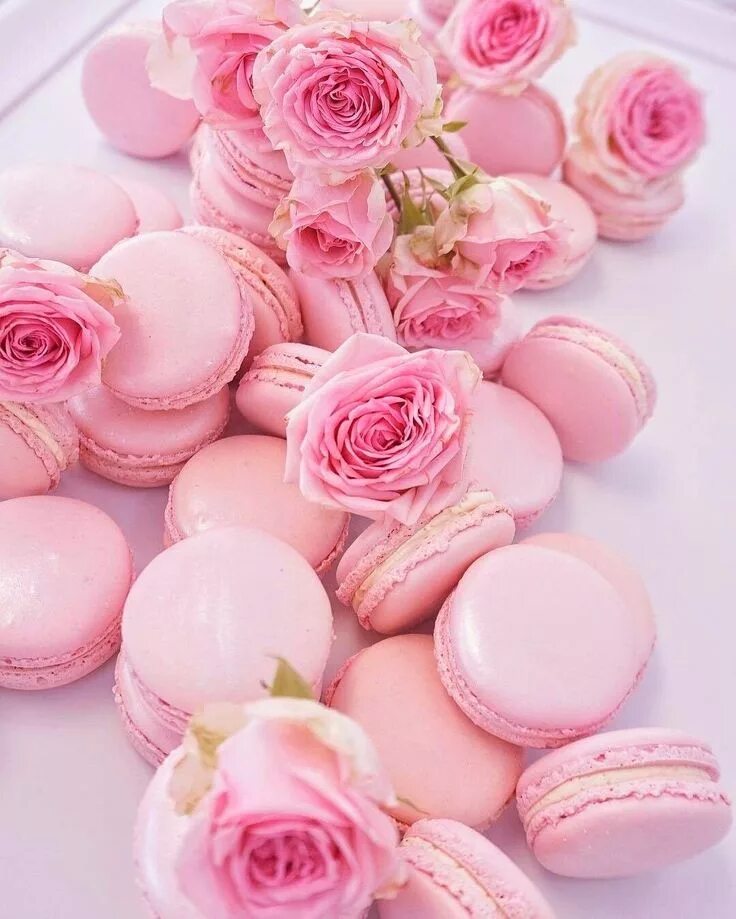 Пастельный розовый фото Pin by Mercedita Noland on All things Pink Pink macaroons, Pink foods, Macaroons