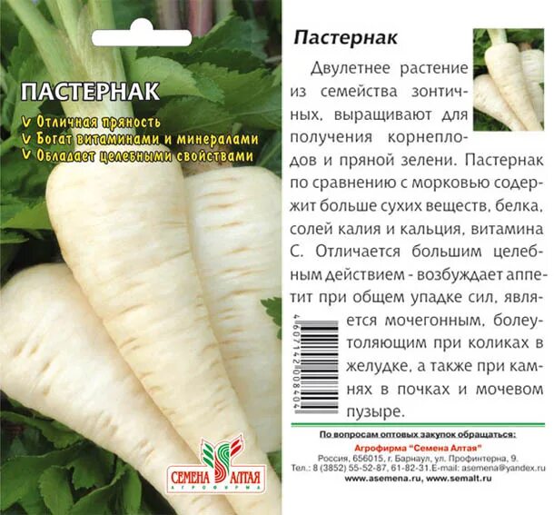 Пастернак овощ фото описание и отзывы фото Зелень Пастернак Кулинар/Сем Алт/цп 1 гр. в Хабаровске Зелень