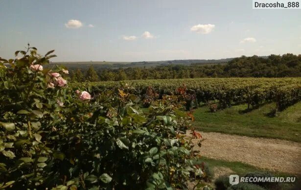 Пастораль степная ул 1д село молдаванское фото Краснодарский край село Молдаванское долина Лефкадия - "Очень красивое место, вс