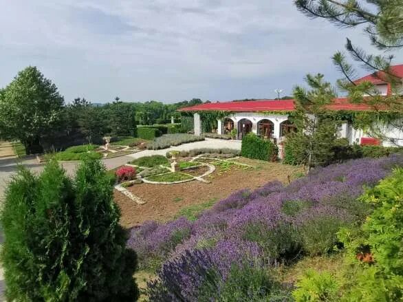 Пастораль степная ул 1д село молдаванское фото Лавандовое поле в поселке Семигорье - Краснодарский край, - координаты, фото, ви