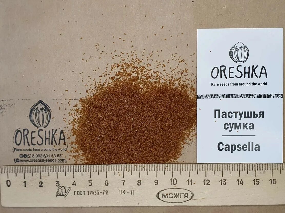 Пастушья сумка семена фото Семена Пастушья сумка - купить в Челябинске Питомник Орешка