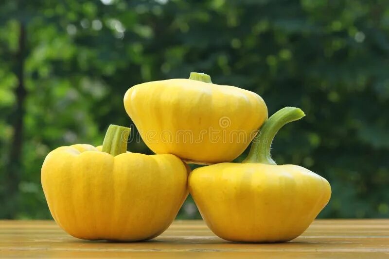 Патиссон фото овоща Yellow patty pan squash stock photo. Image of pumpkins - 26841170