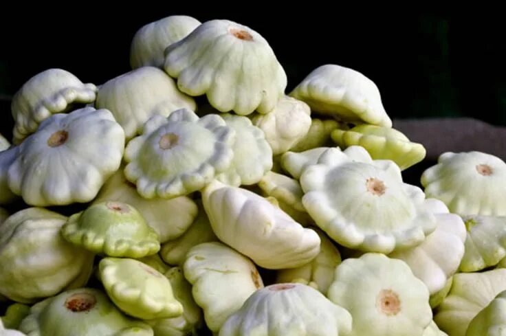 Патиссон овощ фото как выглядит Seasonal Spotlight: Pattypan Squash Pattypan squash, White patty pan squash reci