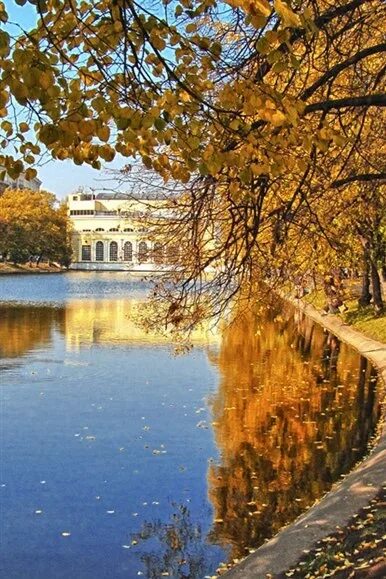 Патриаршие пруды осенью фото Сентябрь - это время, когда лето ещё не ушло окончательно, но отчётливо чувствуе