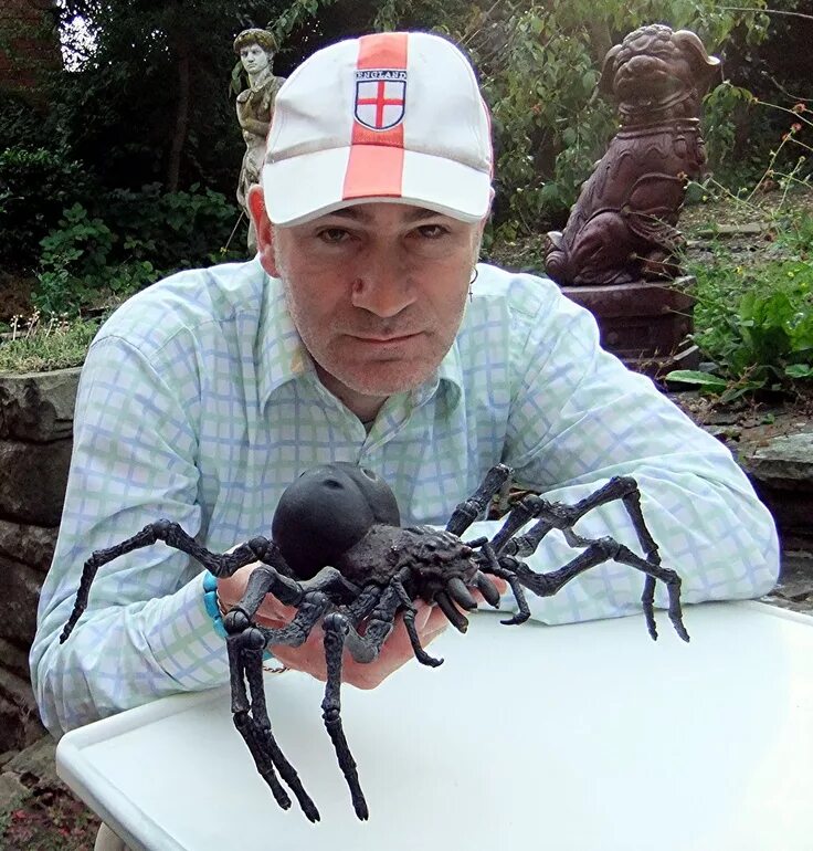 Пауки в австралии фото ShukerNature: July 2011 Giant spider, Big spiders, Arachnids